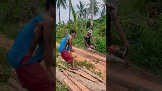 #GoDucks Barefoot Chainsaw Action - Oregon - Sibonga Cebu - Philippines Travel 2023 #harvestchaser