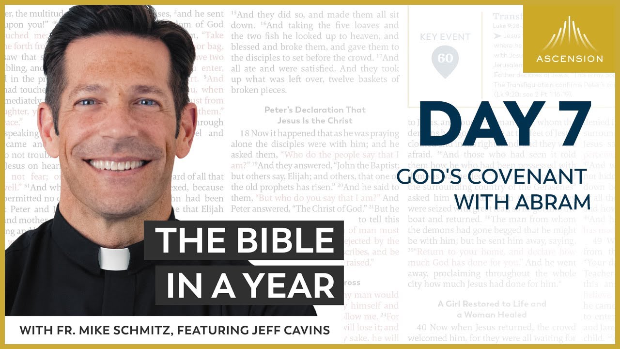 ascension fr mike schmitz bible in a year