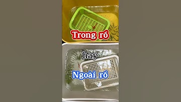 Nên tách đẻ cá mái trong rổ hay ngoài rổ? #anhnuoica #guppy #cabaymau #ca7mau