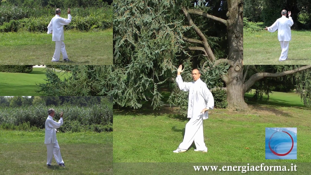13 Form Tai Chi -  Posture 05 - White crane - Free Lesson - Tai Chi Online.com