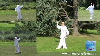13 Form Tai Chi -  Posture 05 - White crane - Free Lesson - Tai Chi Online.com Guide
