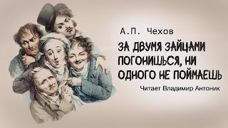 «За двумя зайцами погонишься, ни одного не поймаешь». А.П.Чехов. Читает Владимир Антоник