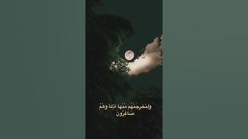 تلاوة حزينة ( إرجع إليهم ) #قرآن كريم #تلاوة_هادئة#ترتيل#اكسبلور