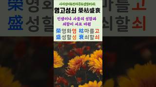 #141#영고성쇠#유래#해설#사자성어#고사성어#한자공부#한문공부#중국어공부#다중언어#외국어학습#한자자격증#세계화대비#
