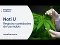 Registro variedades de cannabis, reciclaje de paneles solares, realidad mixta y aumentada - Noti U