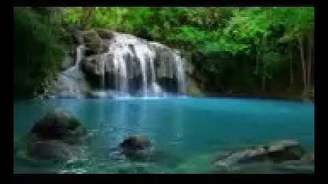 تلاوة جد مؤثرة لفضيلة الشيخ منير الجزائري