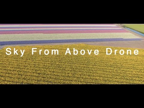 Sky From Above Drone | The Flower Fields of Holland | Lisse | The Netherlands