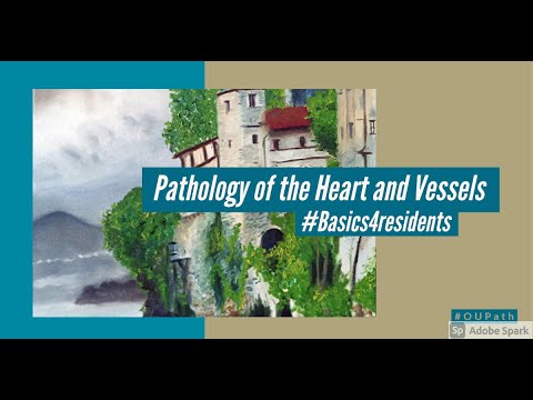 Pathology of the Heart and Vessels