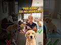 ENSINE SEU CACHORRO A FAZER XIXI NO LUGAR CERTO