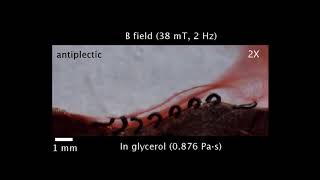 Bioinspired cilia help understand which movement pattern generates maximal fluid flows