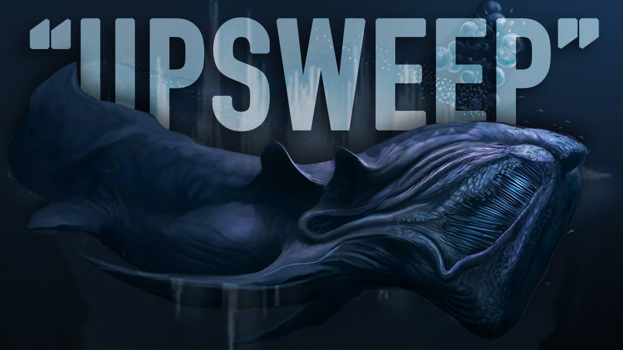 The Mysterious Sound In The Pacific That Won t Go Away Upsweep YouTube the-mysterious-sound-in-the-pacific-that-won-t-go-away-upsweep-youtube