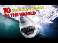 Plunge into danger exploring the 10 deadliest pools worldwide