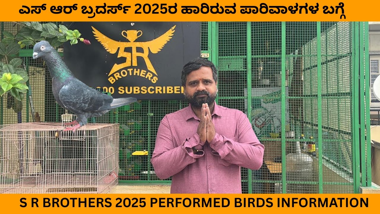 ಎಸ್ ಆರ್ ಬ್ರದರ್ಸ್ 2025ರ ಹಾರಿರುವ ಪಾರಿವಾಳಗಳ ಬಗ್ಗೆ |  S R BROTHERS 2025 PERFORMED BIRDS INFORMATION