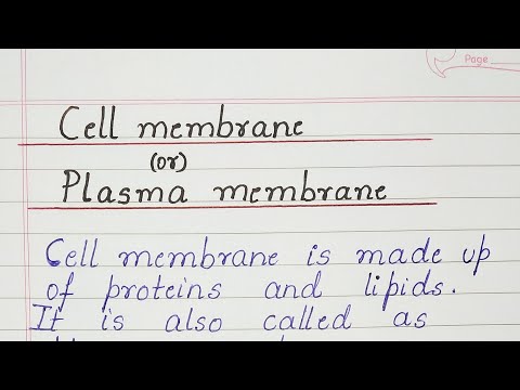 Video: Ce este definiția scurtă a membranei plasmatice?