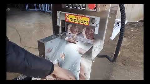 Auto Frozen Meat Slicer Machine MH 2000