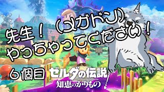 【ゼルダの伝説 知恵のかりもの】 おまえのものはワイのものや！！６個目 【初見プレイ】