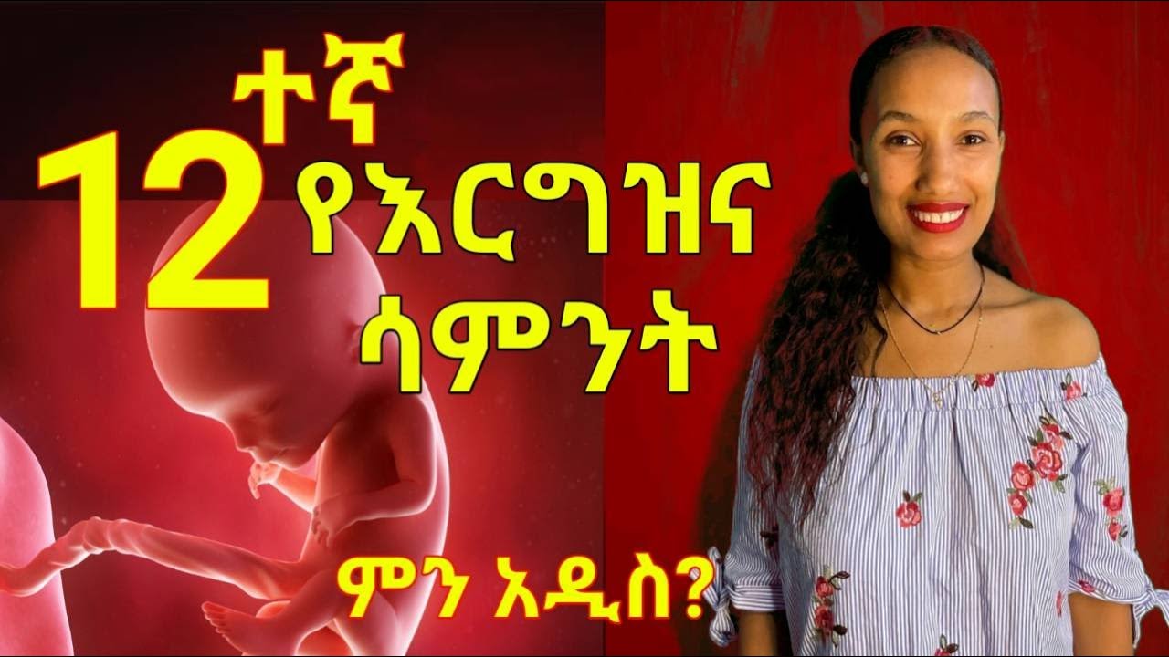 የእርግዝና አስራሁለተኛ ሳምንት//12 weeks pregnancy ;What to Expect