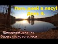 Поход в лес. Ночевка в палатках 5 дней. день 4