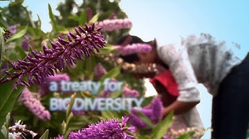 Message of Public Interest - message 2