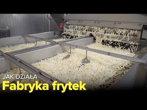 Jak działa FABRYKA FRYTEK? - Fabryki w Polsce