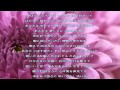 water,flower/SILVA/歌詞付き Relaxing Music