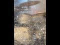 一人になんてさせないよ。(斜め45度 中嶋ユキノ)