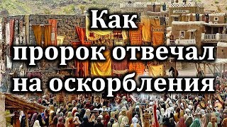 Как Пророк ﷺ отвечал оскорбителям? Как Пророк ﷺ отвечал оскорбителям?