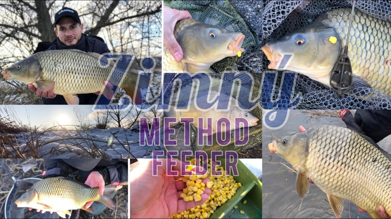 Lov kapra na rieke |Zimný feeder| Sensas zmes na zimu |Lov kapra 2021