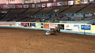 BBR finals 2019