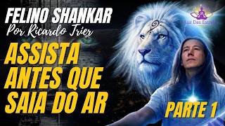 Felino Shankar O Verdadeiro Objetivo Da Ia Parte 1