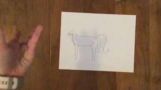 How To Draw A Alicorn