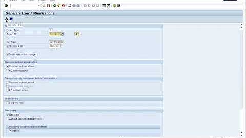 SAP HR Security - Part 18 - Demo