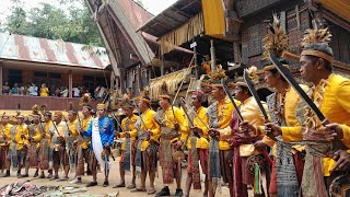 Tarian Manimbong yang bikin ikut Goyang||Ma'Bua' Syukuran Tongkonan Banua Sura' di ke'pe'