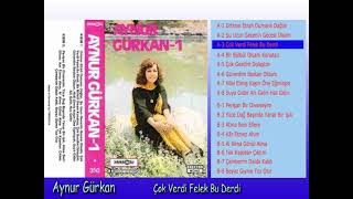 Aynur Gürkan - Çok Verdi Felek Bu Derdi Resimi