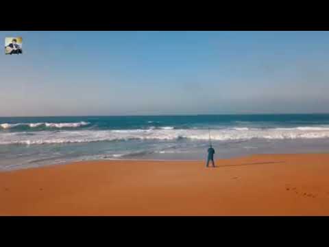 الفنان عابدين ماشي الخاطري