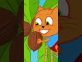 ¿Cómo Conseguir Cocos? 🥥🥥🥥 Familia de Gatos Dibujos Animados Para Niños #animados