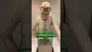 Ta maszyna zniszczy twoje ego 😭😱