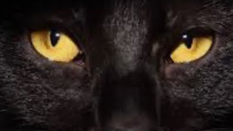 Gha’agsheblah: My Journey Into The Qliphoth