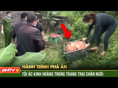 Oan hồn trong hầm biogas ‘hiện về’ lột mặt ả đàn bà tâm cơ | Hành trình phá án | ANTV