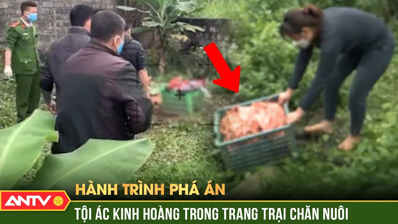 Oan hồn trong hầm biogas ‘hiện về’ lột mặt ả đàn bà tâm cơ | Hành trình phá án | ANTV