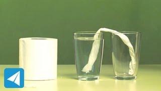 Tissue roll demonstrates capillary action | Surface Tension | Physics