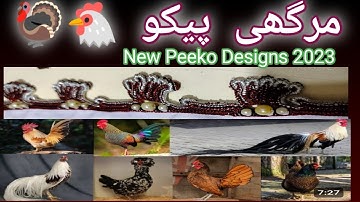 New Peeko Design Viral 2023|New Piko Designs 2023🔥|New Latest Pico Design2023| Rabel peeko designs