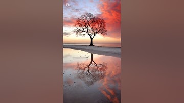 ما تيسر من سورة الإنسان..للقارئ الشيخ وليد الأزهرى..