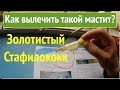 Мастит, который практически не лечится?