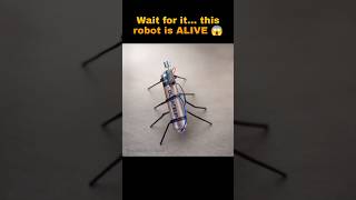 Crazy Vibrating Robot Bug 🐜 | Simple Science Experiment #shorts #robot #diy #scienceproject