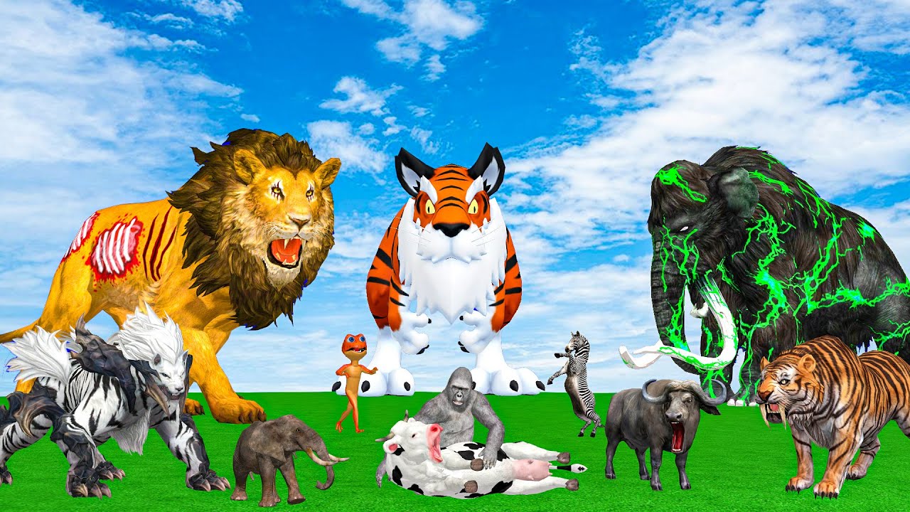 5 Giant Elephant Cow Vs Giant Angry Indian Elephant Vs 5 Giant Lion Tiger Saved By Wolly Mammoth
