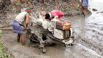 Leveling the paddy rice land with aci power tiller machine | Power tiller machine video |