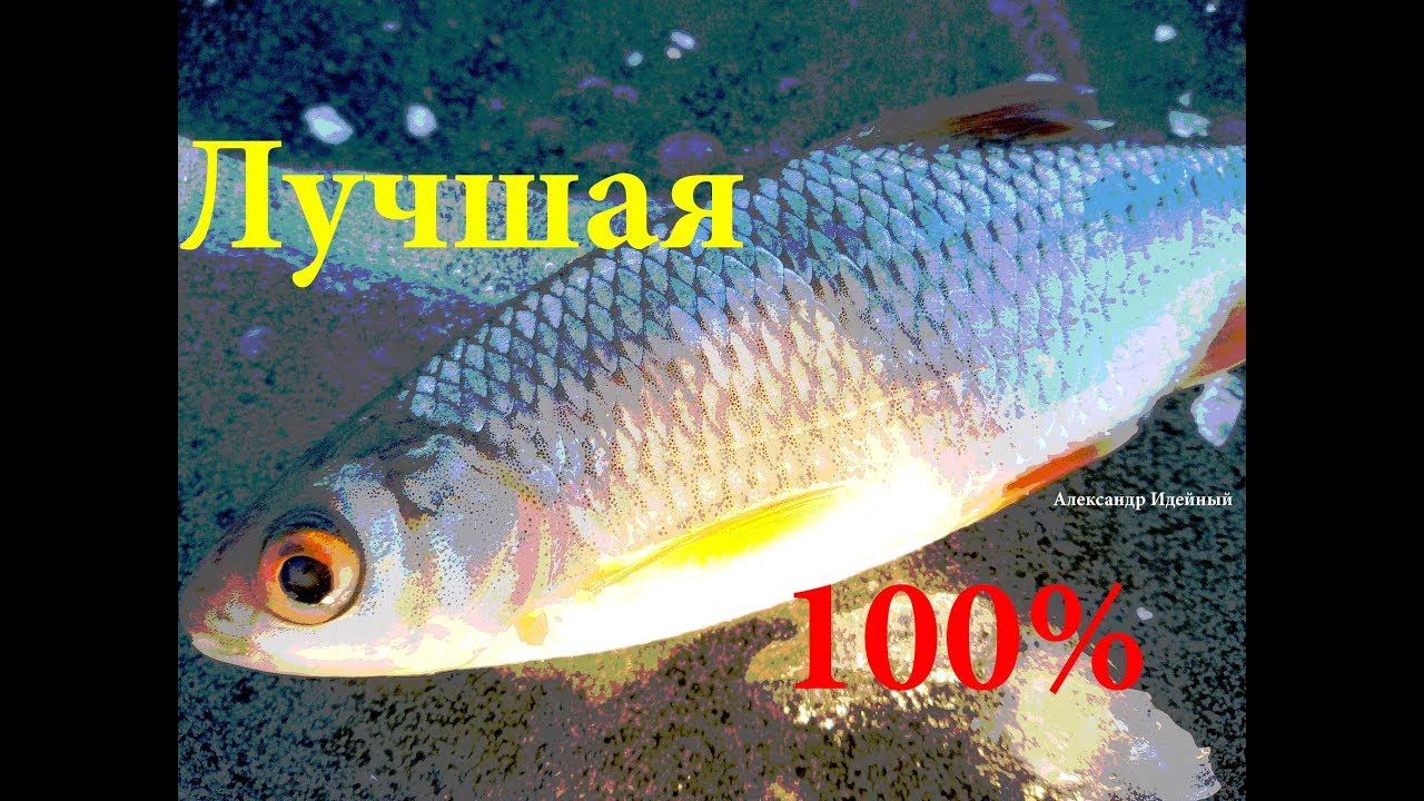 Зимняя снасть на плотву - YouTube