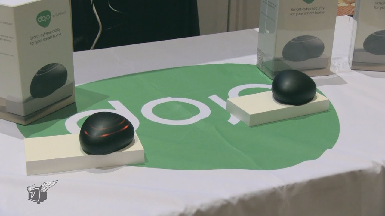 Protecting the Home Network with a Virtual Guard Dog 