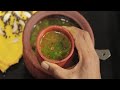 Pepper rasam recipe  delicious and tangy pepper rasam recipe  south indian rasam varieties